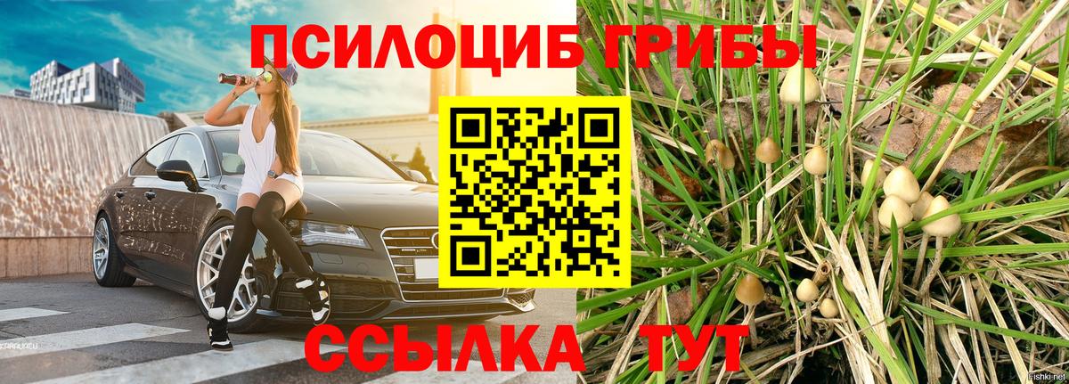 Псилоцибиновые грибы Cubensis Ухта