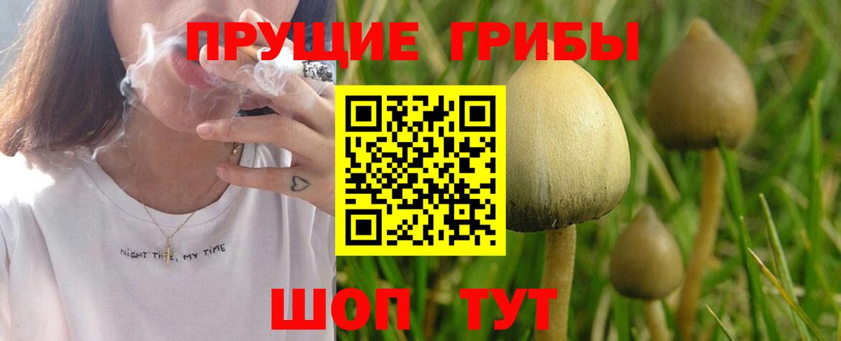 как найти закладки  Псилоцибиновые грибы Cubensis  Вход с VPN  Ухта  Псилоцибиновые грибы Psilocybine cubensis 