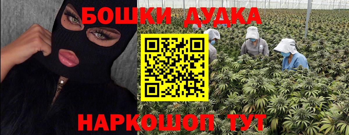 Шишки марихуана конопля Ухта